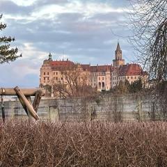 Stadtmitte mit Schlossblick