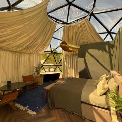 KUUL STAY - luxury glass domes