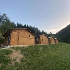 Bujtina Selimaj