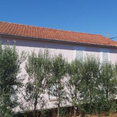 Apartments Tomas