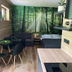 Apartmán Vrbno pod Pradědem
