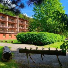 Horský Hotel Podjavorník