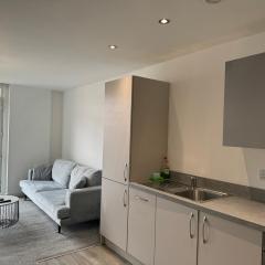 Luxury 1BR Near Manchester Town