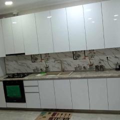 Irina's apartment