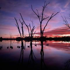 Boshack Outback Farmstay - Perth Eco Farm