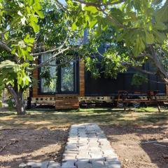 Dikili ZeyTiny House