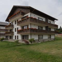 Grand Chalet Aparthotel