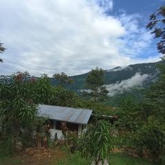 Hospedaje Fundo La Bonita -Palmapampa