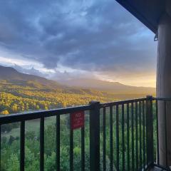 Eagles View, Luxury living Amazing Mtn Views! indoor pool & spa