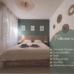 Villemur Cosy