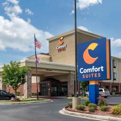 Comfort Suites Pell City I-20 exit 158