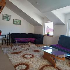 Mountain Apartment Vlašić Babanovac