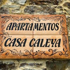 Apartamentos Rurales Casa Caleya