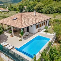 Adorable family villa with swimming pool and olive garden