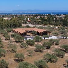 Agriturismo Corte degli Ulivi