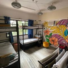 Krazy Solo Hostel