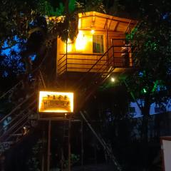 Green island nature resort with swimming pool