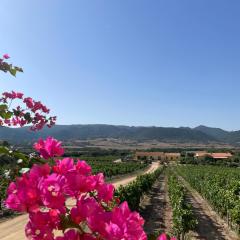 Agriturismo Campesi casale tra le vigne