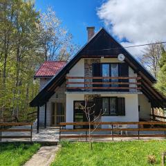 Vlasinsko jezero vila BiLiV