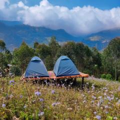 Roamrustic Camp Vattavada