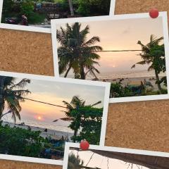 Penguin beach stay