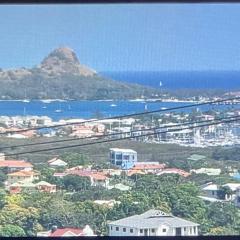 Tropical Harbour View