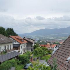 Großzügige Ferienwohnung