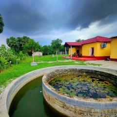 Kaia - Farm Stay & Garden Cafe - Free Fishing