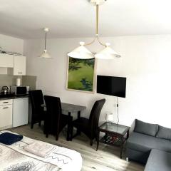 Apartament Wygodny S2