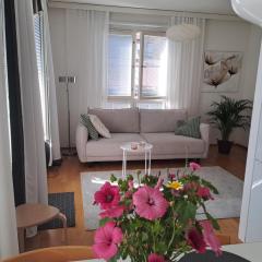 Bright apartment, airport 3km, private parking, sauna