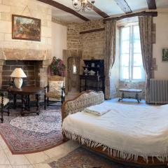 16th Century Manoir du Belvedere - central, unique, historical, with all modern amenities