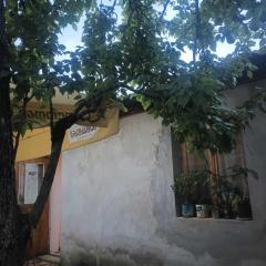 HOME in VILLAGE
