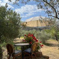 Cortijo alhijra small yurt