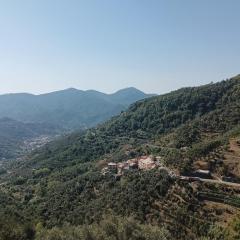 CASA LORENZO SULLE COLLINE DI LEVANTO e VICINO ALLE CINQUETERRE LT-0620