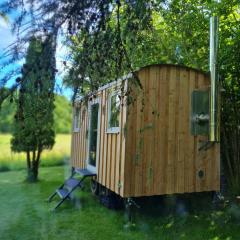 B&B Bauernhofferien auf Møn, Schäferwagen " DARK SKY"