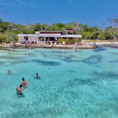Medusa Hostel Isla Tintipan