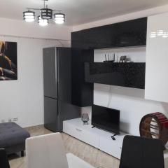 Apartament de lux cu 2 camere