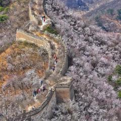 北京吾己民宿-万里长城黄花城-水长城休闲民宿