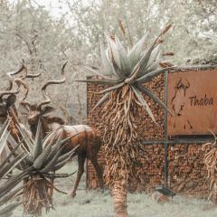 Thaba eNtle Private Boutique Game Farm