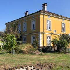 Löwenzahn2