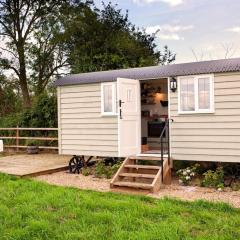 Starlight Shepherd Hut