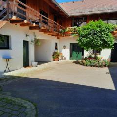 Loftartige Wohnung in Scheibbs mit Schwimmteich