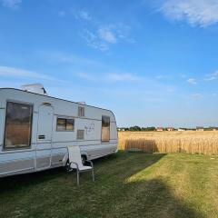 Deluxe Oase der Ruhe - Wohnwagen im Kornfeld