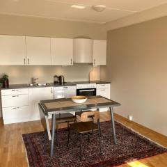 Modern apartment in Bardufoss Center - two bedrooms, garage, terrace