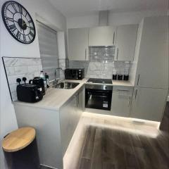 Premium London Apartment - 10 minutes from Wembley Stadium, OVO Wembley Arena