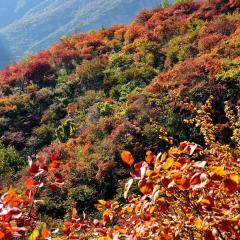 Nost algia S Hotel Near University of Chinese Academy of Social Sciences - Near Peking Man Site at Zhoukoudian,, Shidu Scenic Spots, Free ice cream, mineral water, coffee, snacks and laundry service, Free gymnastic, English communication well