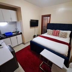 Cosy Studio Apartment Kileleshwa