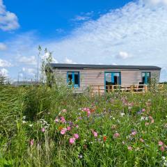 Schäferwagen Tiny House auf dem Friesenhof