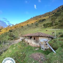 The Rivera Birding Colombia