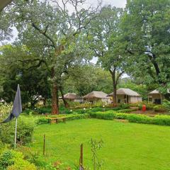 Satpura Adventure resort'
